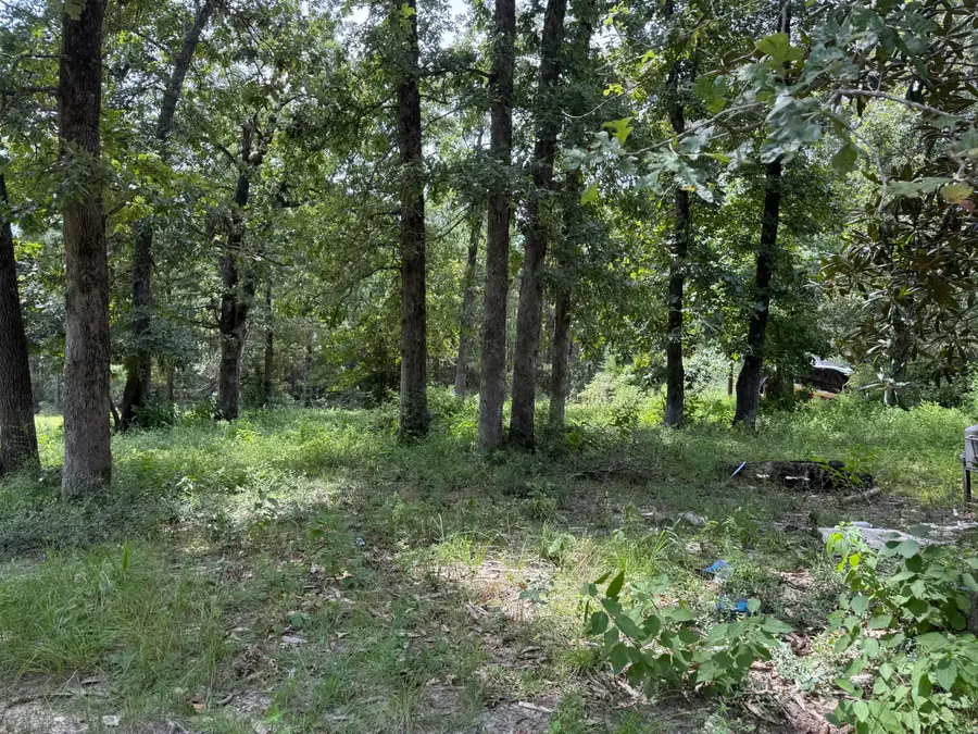 971 Bears, Deridder, LA 70634 - #3