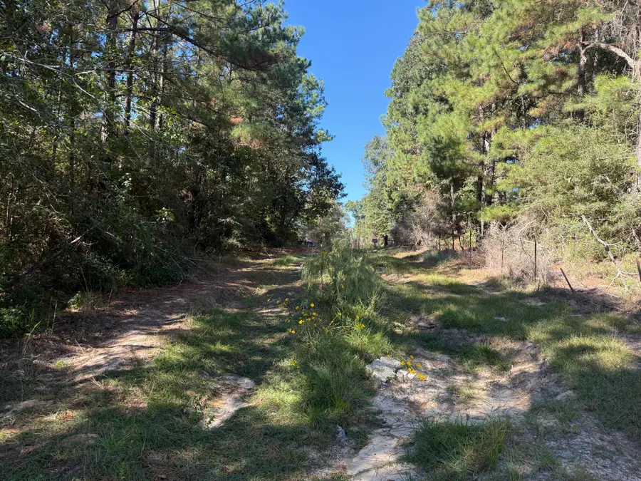 911 Bears Rd, Deridder, LA 70634 - #3
