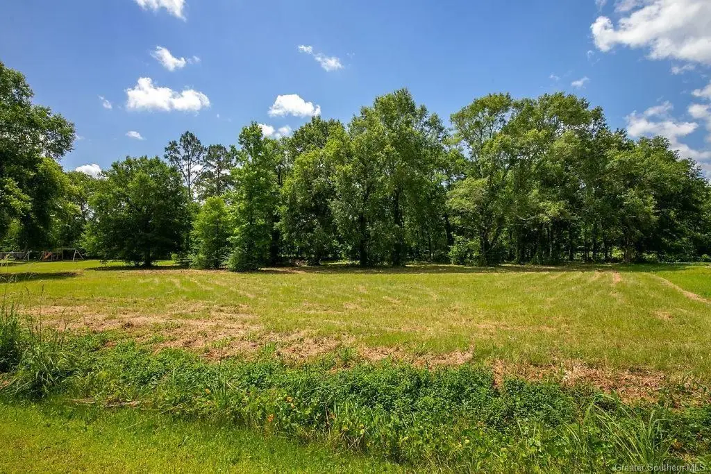 Jims Circle, Ragley, LA 70657 - #1