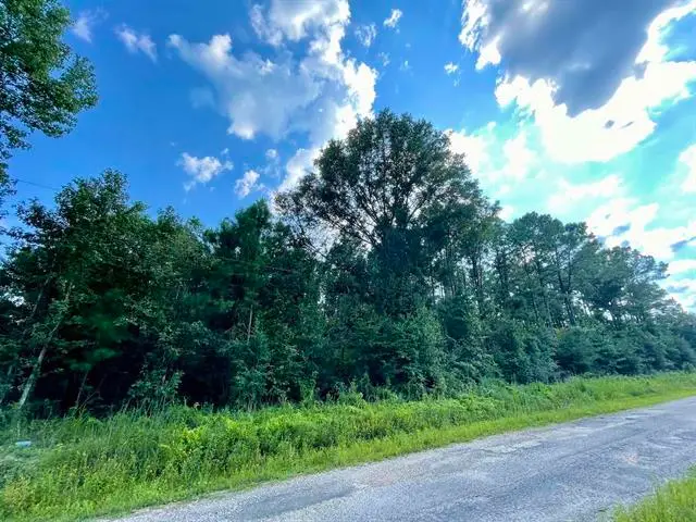 0 Ernie Cole Rd, Ragley, LA 70657 - Image #1