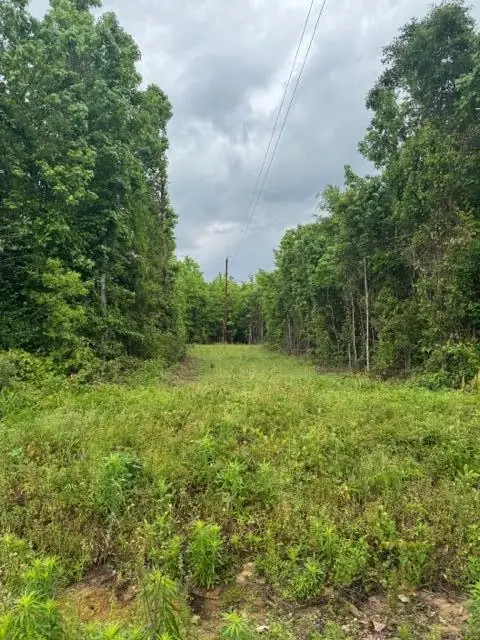 Shirley Loop, Deridder, LA 70634 - Image #1