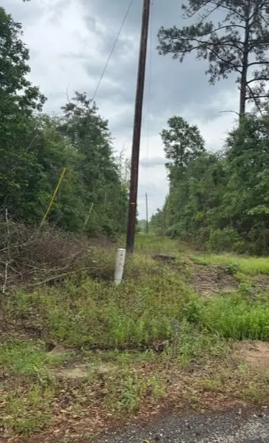 Shirley Loop, Deridder, LA 70634 - Image #2