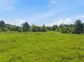 Jackson-gimnick Loop, Ragley, LA 70657