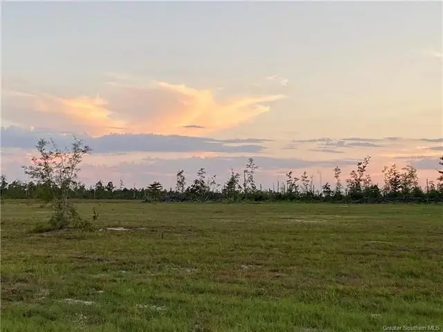 Camp Edgewood Rd, Dequincy, LA 70633 - #3