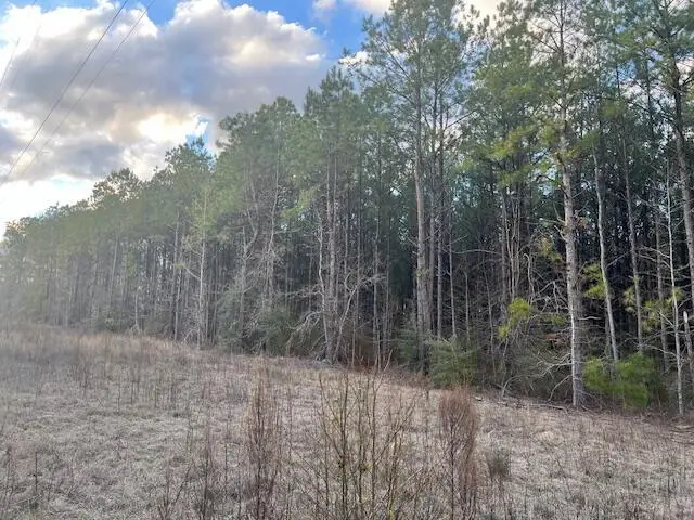 Nichols Rd., Leesville, LA 71446 - Image #1