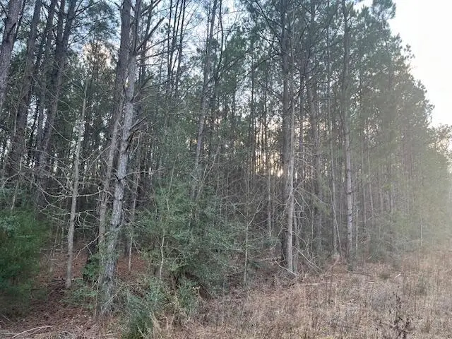 Nichols Rd., Leesville, LA 71446 - Image #3