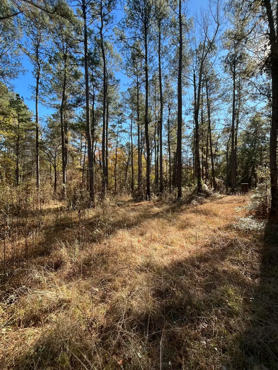 Delton Masters Rd, Provencal, LA 71468 - Image #3