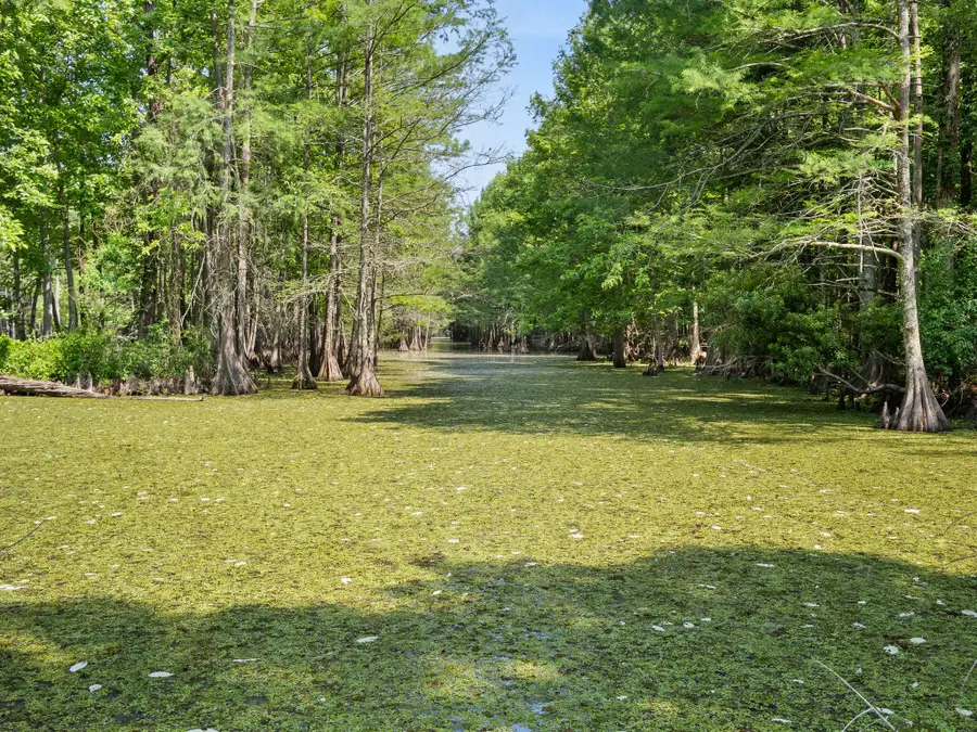 427 Lyles Landing Rd., Leesville, LA 71446 - #3