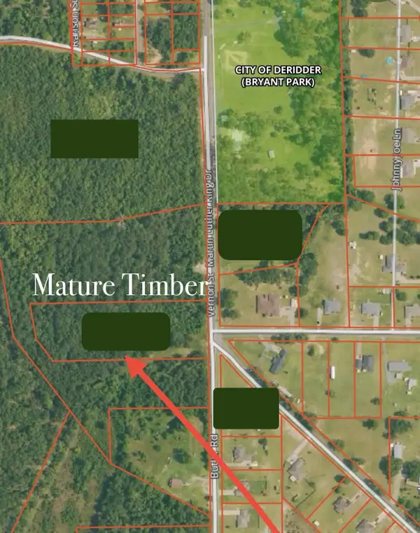 Martin Luther King (butler Rd), DeRidder, LA 70634