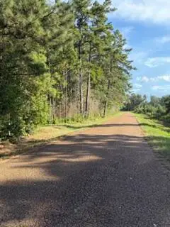 Fullerton Blacktop, Pitkin, LA 70656