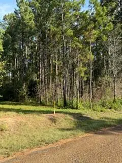 Fullerton Blacktop, Pitkin, LA 70656 - #2
