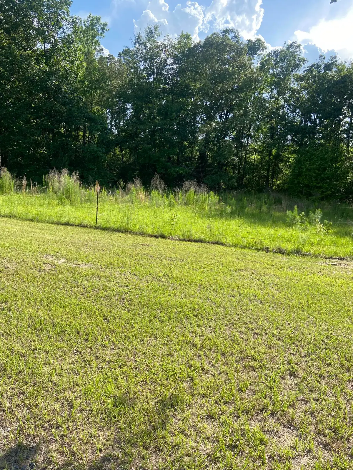 J T Poe Rd, Hicks, LA 71446 - #1