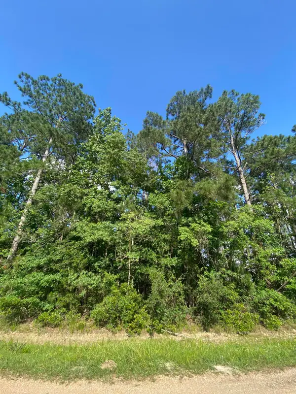 Hwy 190, DeRidder, LA 70634