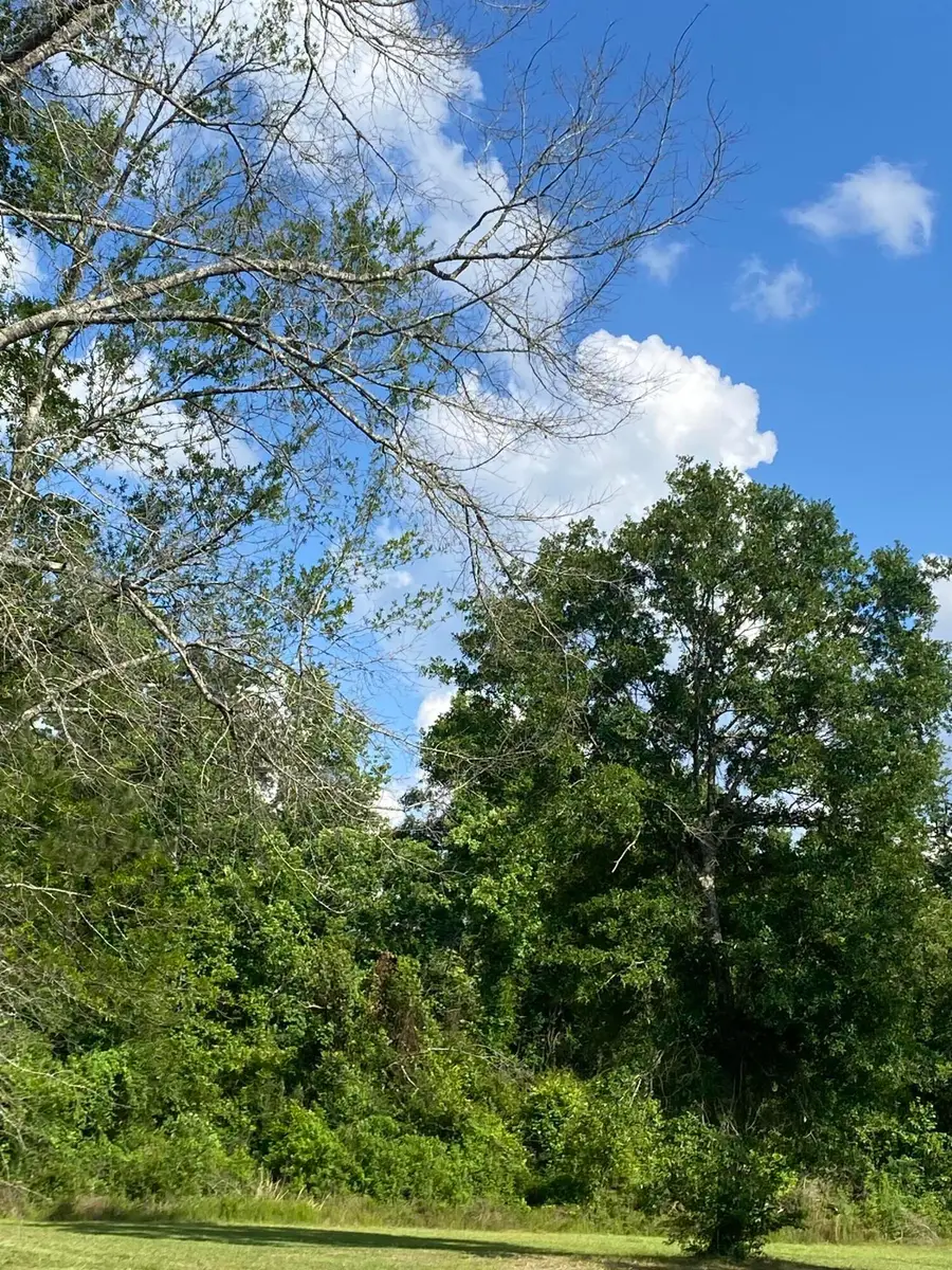 Hwy 190, Deridder, LA 70634 - Image #3