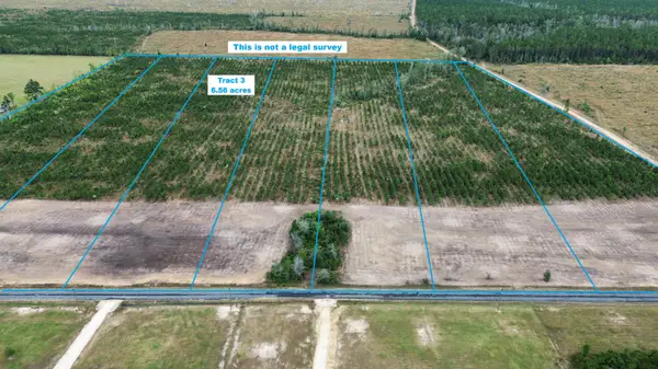 Elengton Rd Tract 3, DeRidder, LA 70634