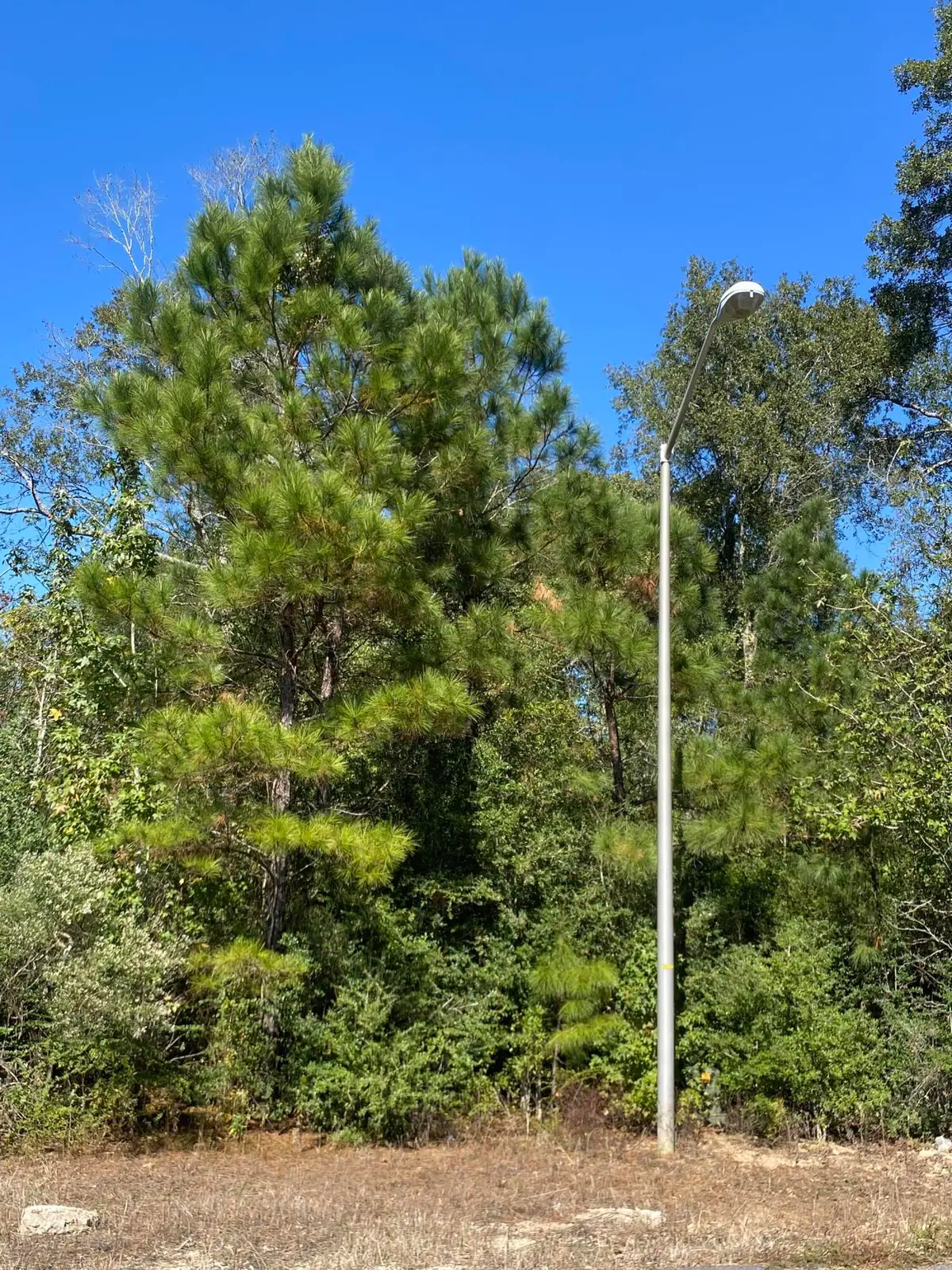 E Robinwood Dr, Moss Bluff, LA 70611 - Image #1