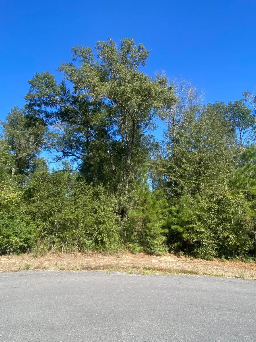 E Robinwood Dr, Moss Bluff, LA 70611 - Image #2