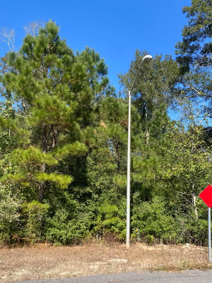 E Robinwood Dr, Moss Bluff, LA 70611 - Image #3