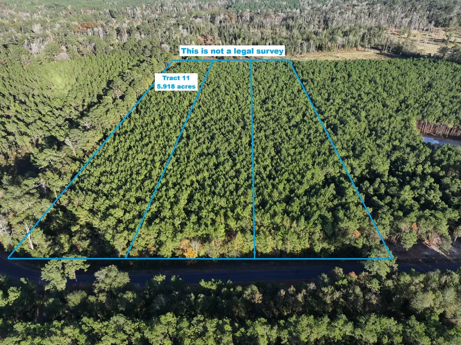 Smyrna Rd, Tract 11, Deridder, LA 70634 - Image #2