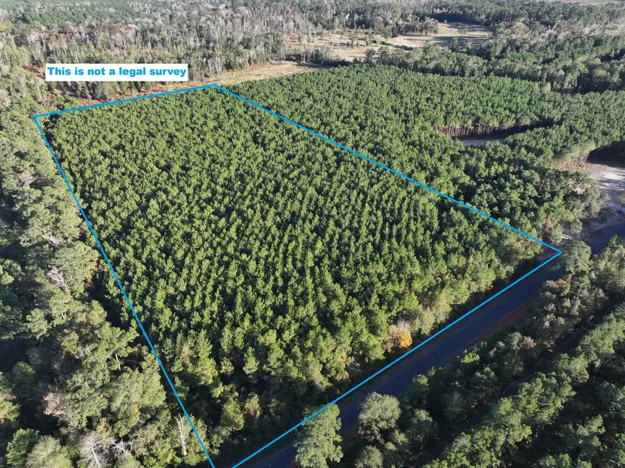 Smyrna Rd, Tract 11, Deridder, LA 70634 - Image #3