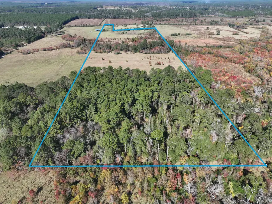 2901 Bailey Rd, Leesville, LA 71446 - Image #3