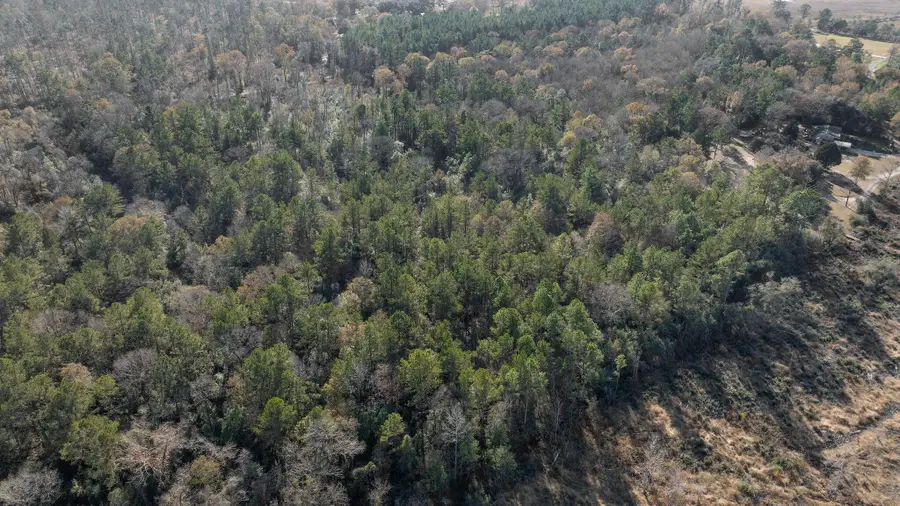 Caskey Rd, Mittie, LA 70654 - Image #3