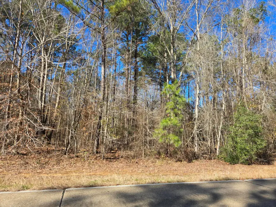 Tbd La-184 Tract 1, Leesville, LA 71446 - #3