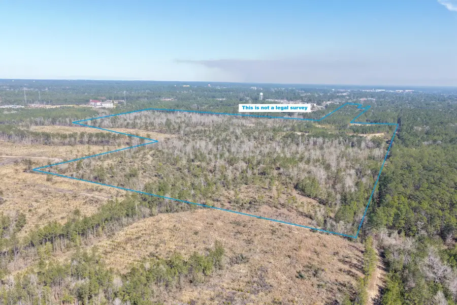 Eddlemon Rd, Leesville, LA 71446 - #2