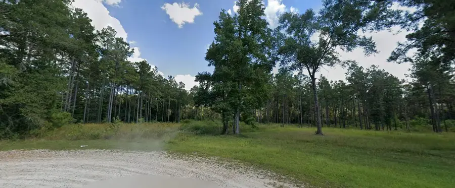 Tbd Lander Lp, Deridder, LA 70634 - #2