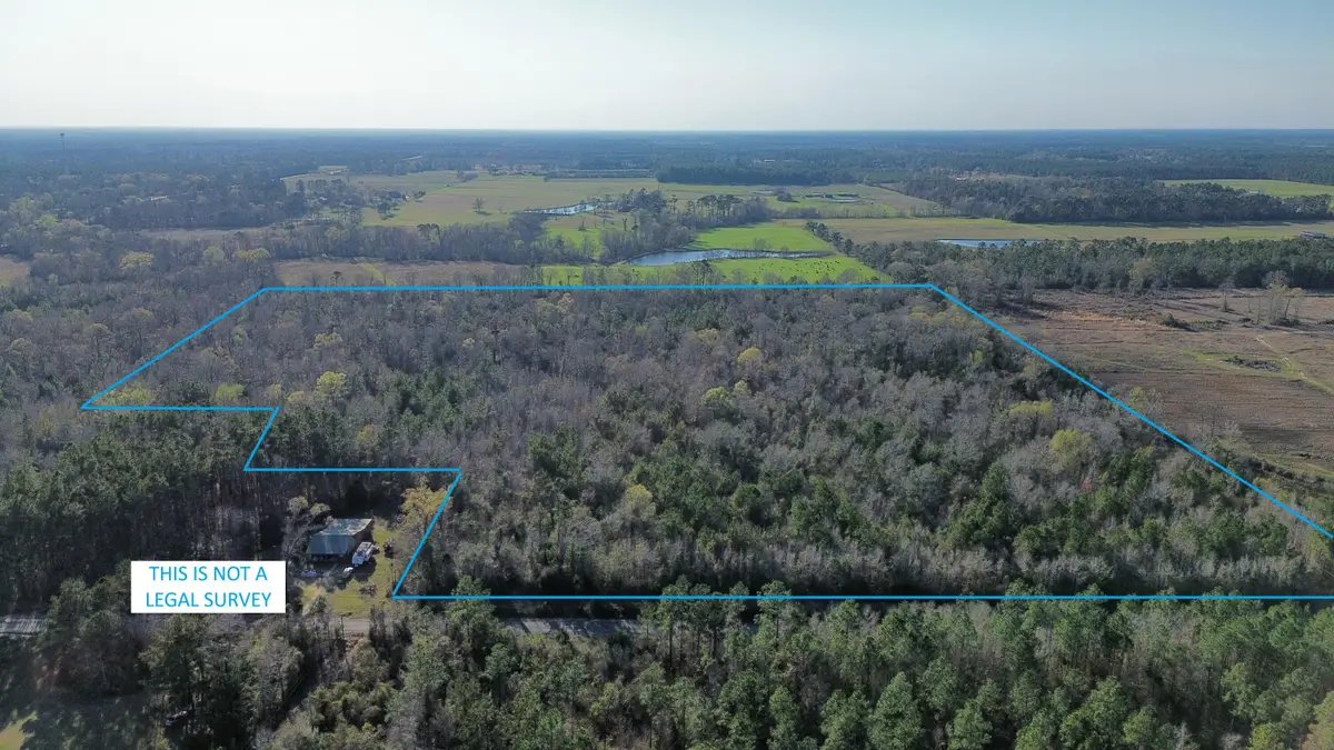 Farley Green Rd, Deridder, LA 70634 - #1