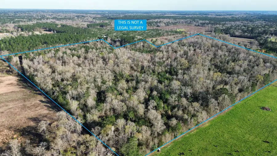 Farley Green Rd, Deridder, LA 70634 - #2