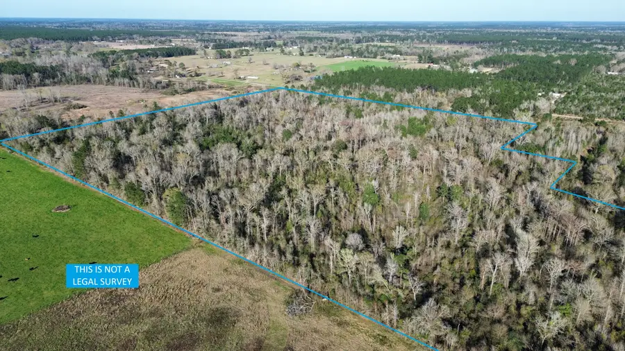 Farley Green Rd, Deridder, LA 70634 - #3