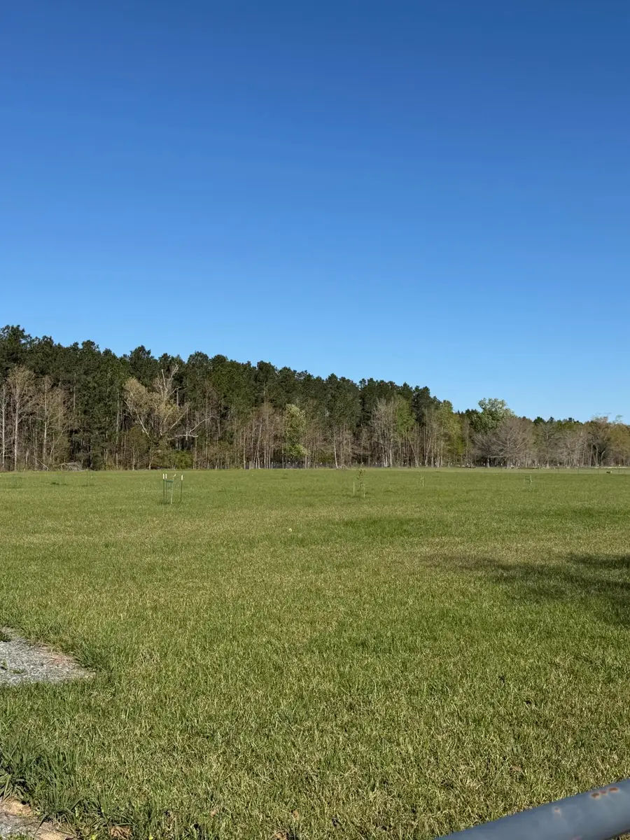 10870 Hwy 113, Dry Creek, LA 70637 - #3