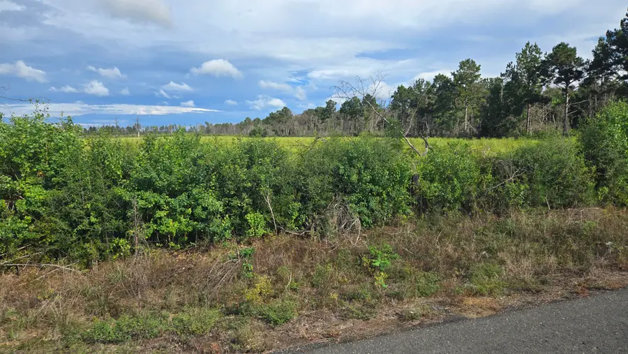 Planer Mill Rd, Deridder, LA 70634 - #3