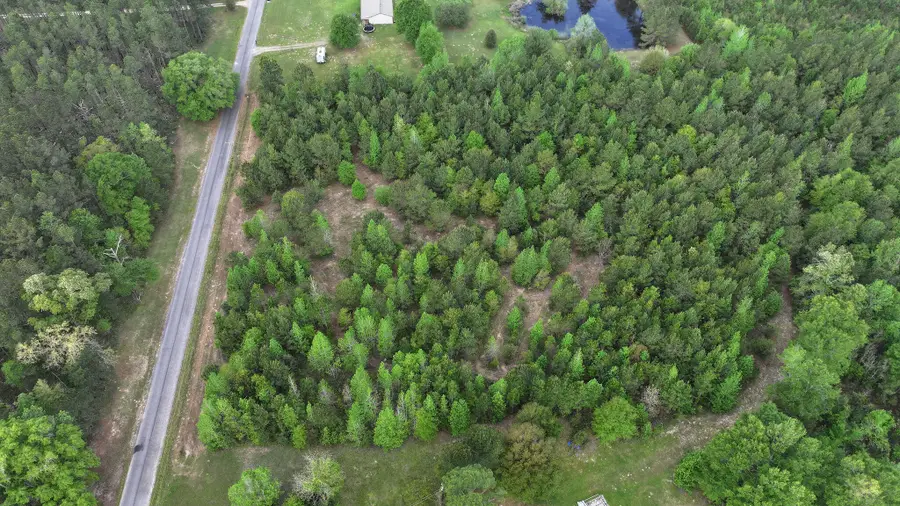 Morrow Bridge, Dry Creek, LA 70637 - #3