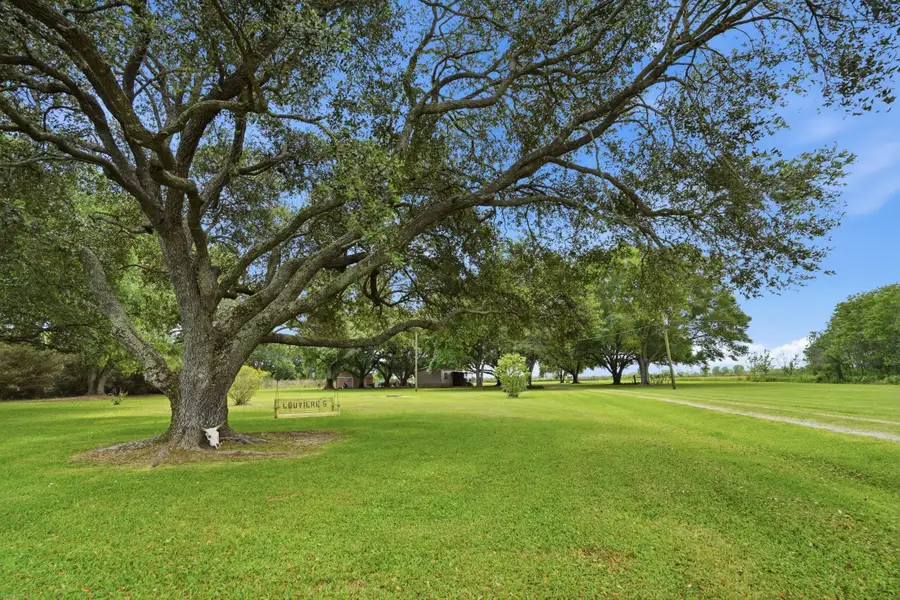 12175 Pine Island, Welsh, LA 70591 - #2