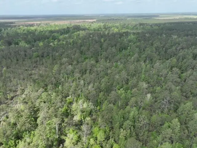 Tract 2 Bannister Rd, Deridder, LA 70634 - #2