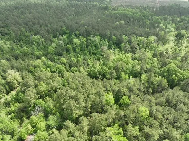 Tract 2 Bannister Rd, Deridder, LA 70634 - #3