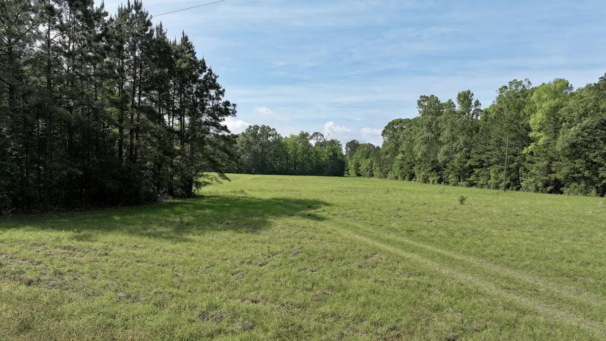 Ferguson, Florien, LA 71429 - #1