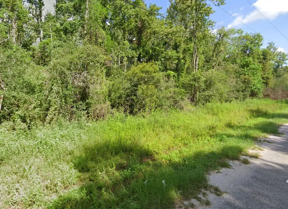 Leith Ln, Deridder, LA 70634 - #1