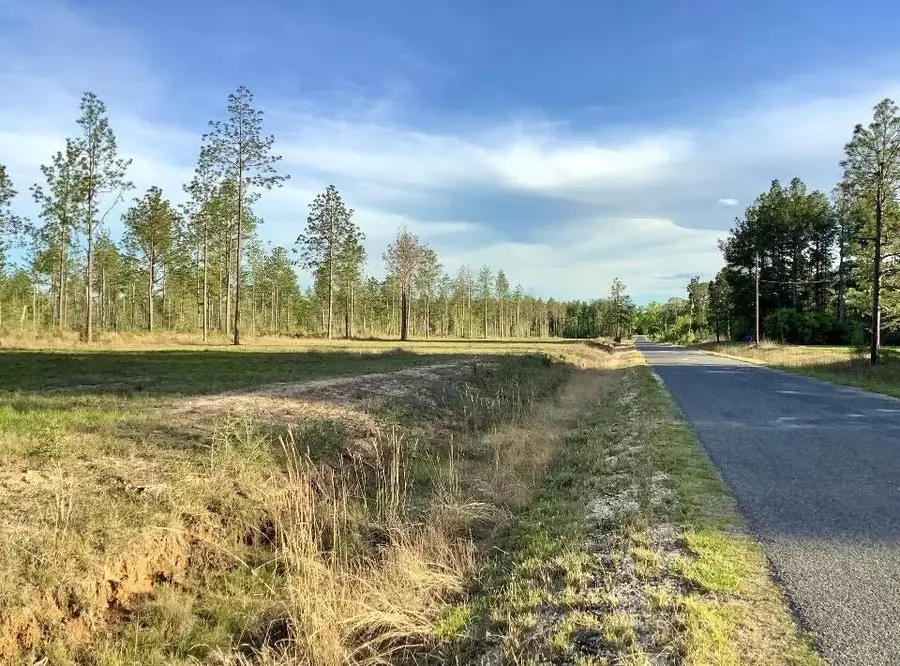 Sandy Loop Tract 5, Merryville, LA 70653 - #2