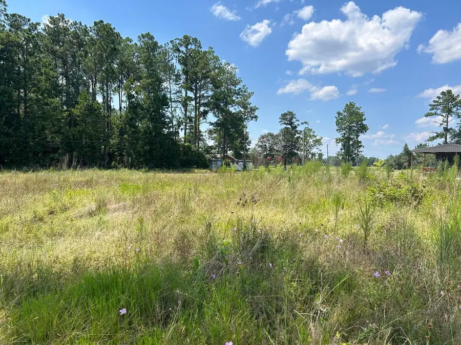 Sandy Loop Tract 5, Merryville, LA 70653 - #3