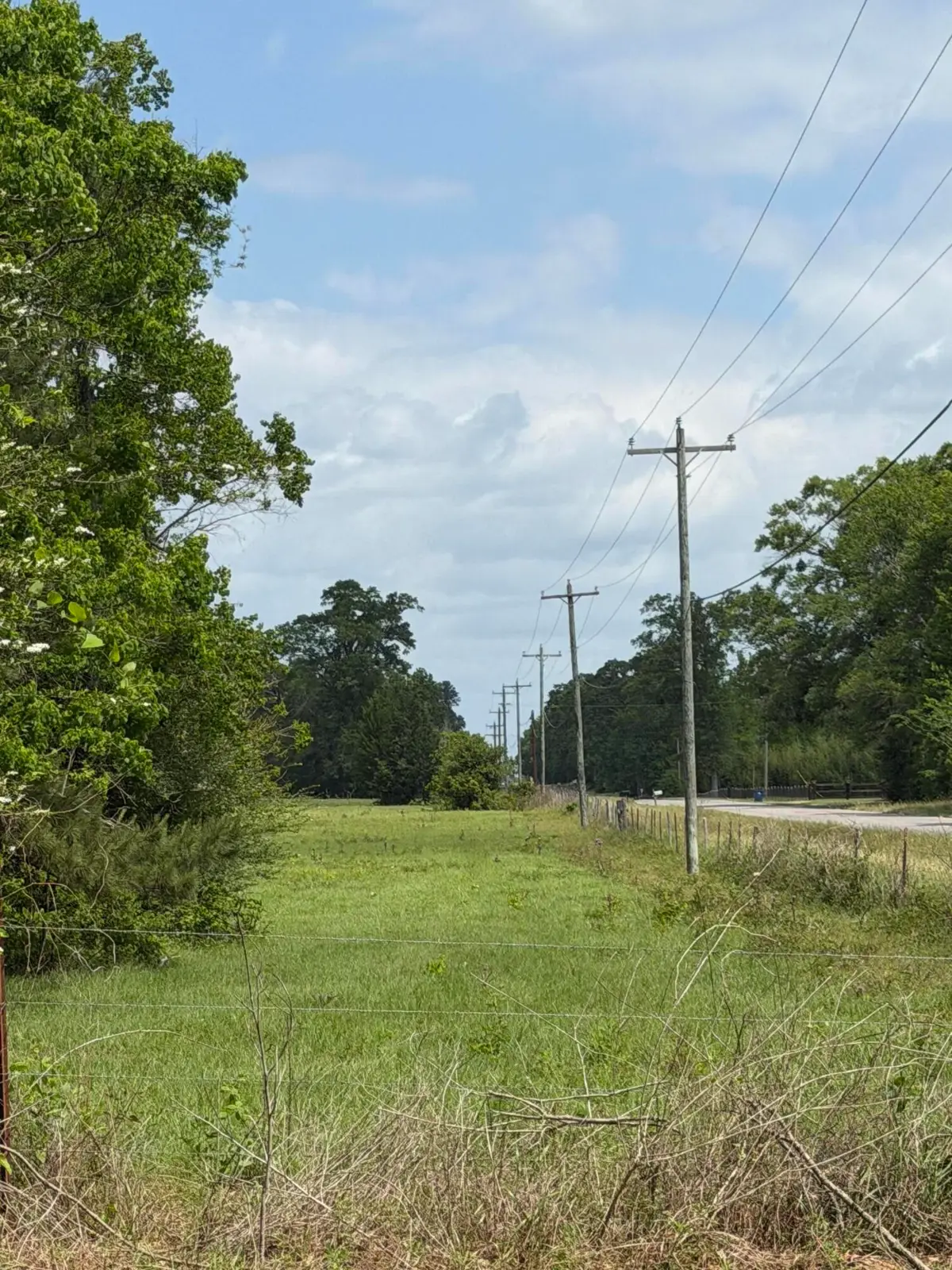 Louisiana 1147, Deridder, LA 70634 - #1