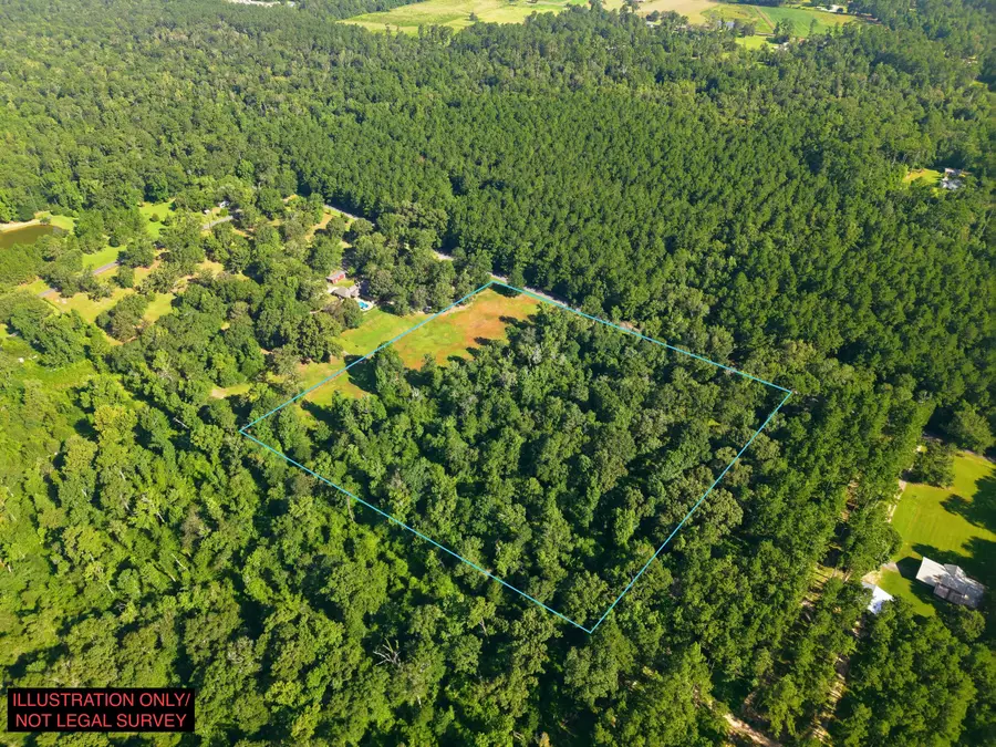 Wardle Rd, Deridder, LA 70634 - #2
