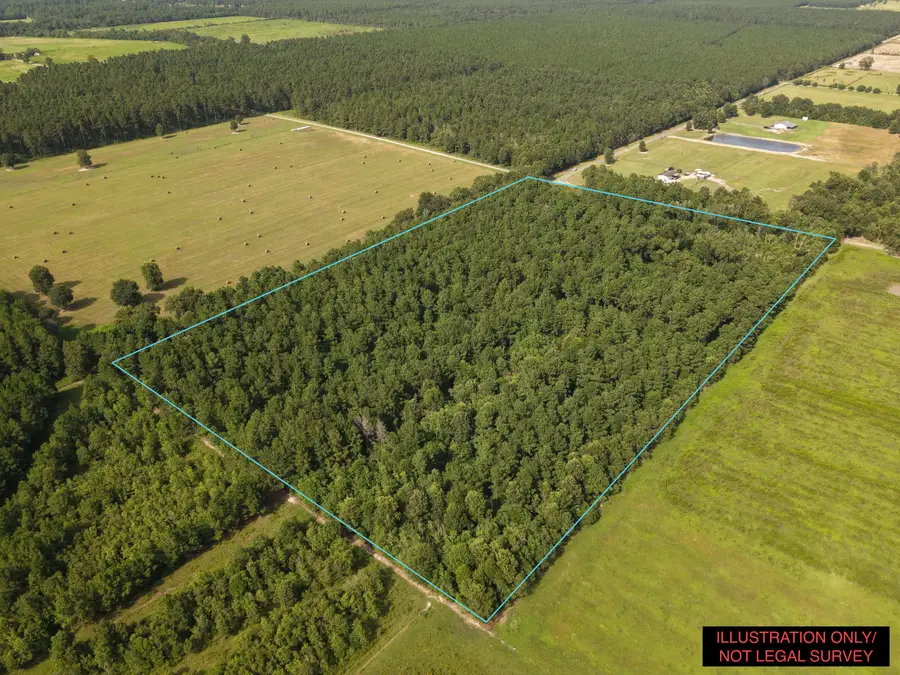 Flat Creek Ranch, Deridder, LA 70634 - #3
