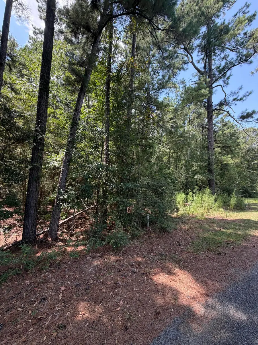 Sanders Rd, Deridder, LA 70634 - #3