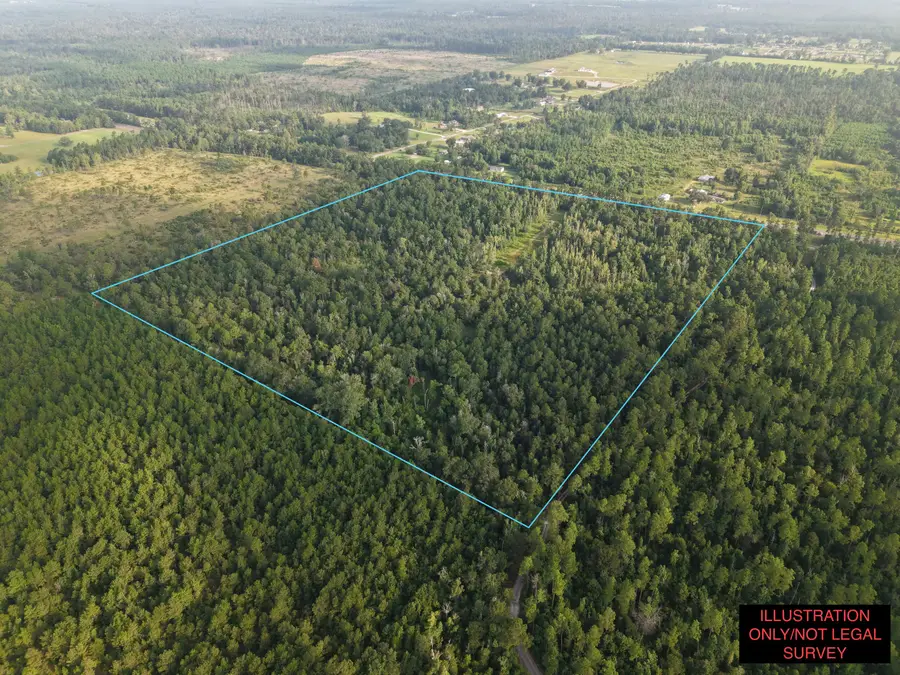 6414 Hwy 12, Ragley, LA 70657 - #2