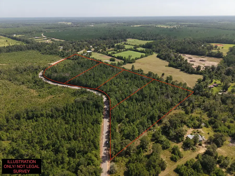 Lot 3 Charles Libick Rd, Deridder, LA 70634 - #3