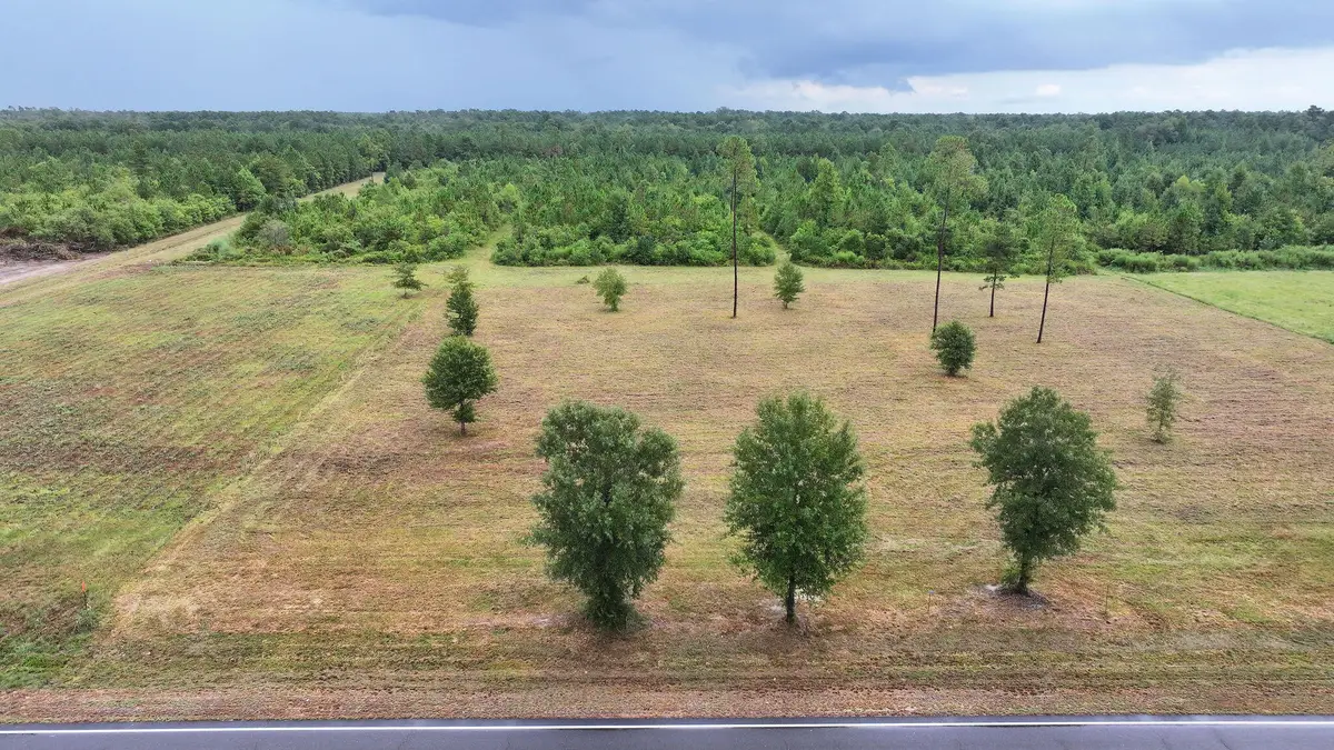 Hwy 113, Reeves, LA 70658 - #1