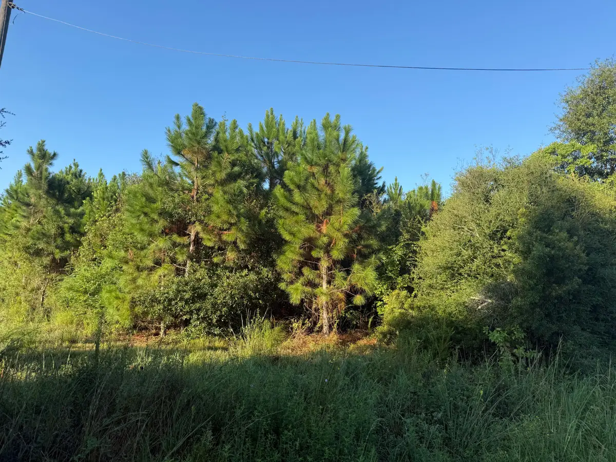 Tbd Hauser Rd, Deridder, LA 70634 - #1